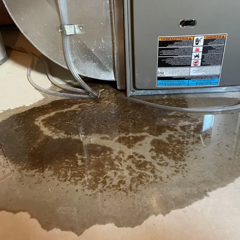 Pipe Burst and Leak Restoration in Jackson County, KY